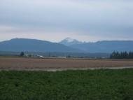 A view of Mt Baker from the Bayview-Edison Road near Mark's house. It will never look the same again!